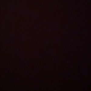 Meet your Posher, Ebony